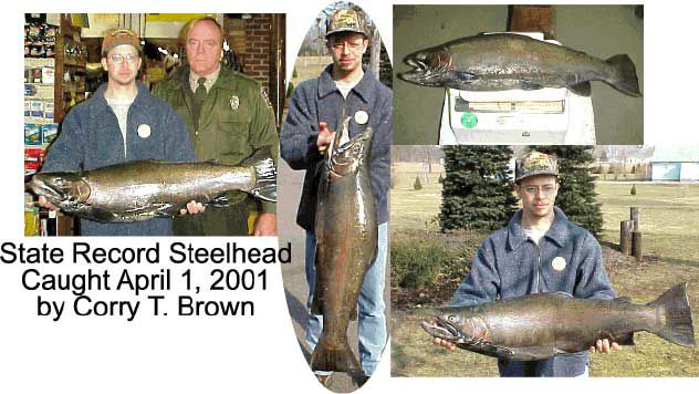 Trout Steelhead